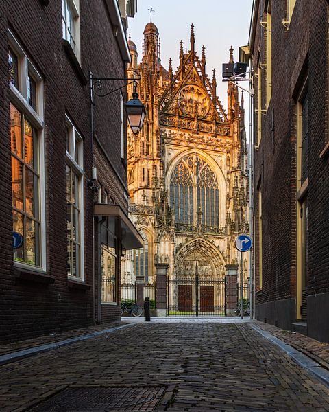 Ein Morgen in Den Bosch, im Ärmel des Landwirts von Goos den Biesen
