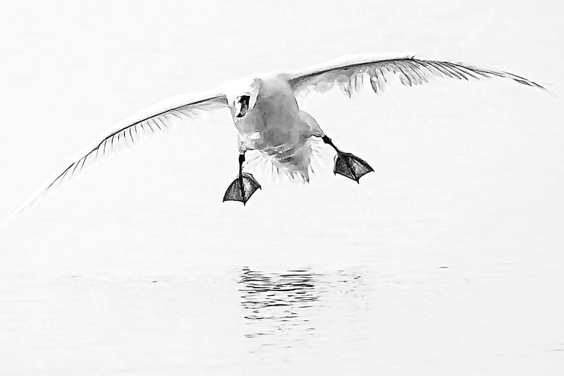 Happy landing by Fotografie Jeronimo