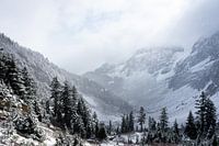 La neige dans les montagnes