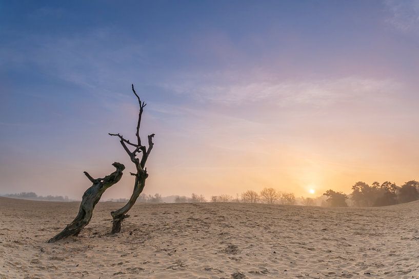 Stillleben von Jan Koppelaar Fotografie