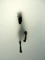 Abstraktes Pferd durch den Nebel