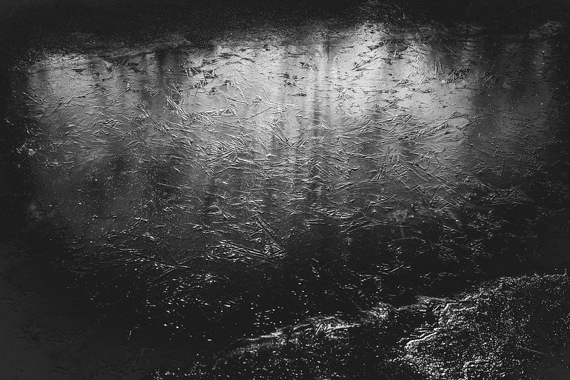 Winter Zwolle Netherlands by Stefan Lucassen