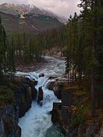 Sunwapta Falls
