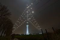 World's biggest Christmas tree shines over Utrecht again