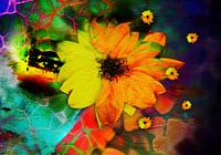 Heilige Phagwa Indien Hindustani Party mit bunten Pulvern