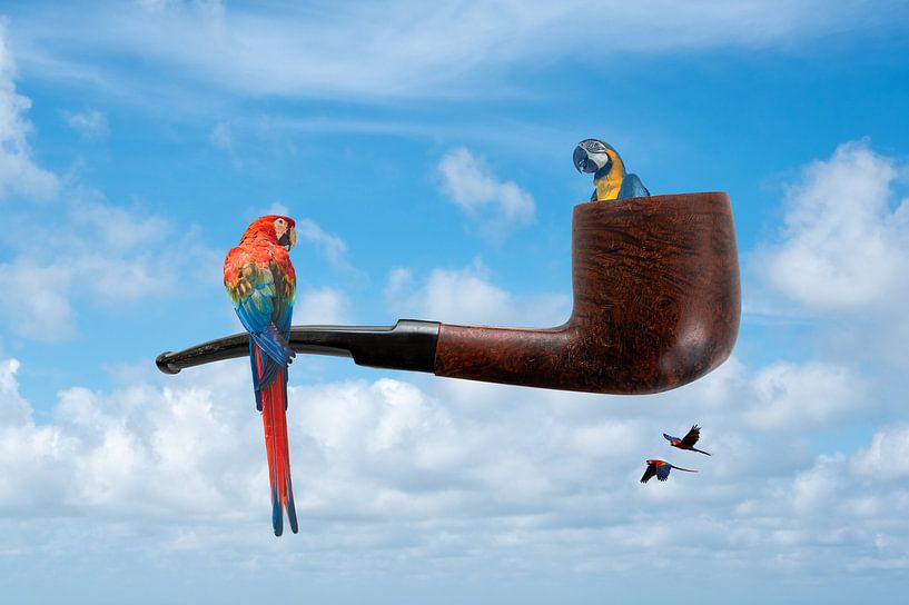 &quot;Ceci n'est pas une pipe&quot; said Magritte by Lida Bruinen