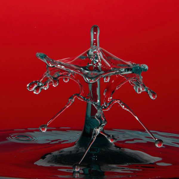 Éclaboussure d'un arbre de Noël sur fond rouge par Anne Ponsen