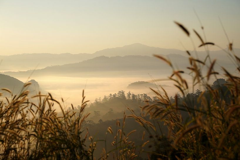 Beautiful sunrise in Thailand by Floris Verweij