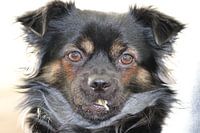 What happened to my last piece of the puzzle...