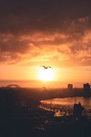 Vogelvlucht in Rotterdam