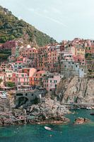 Manarola Cinque Terre | Photoprint Italy travel photography
