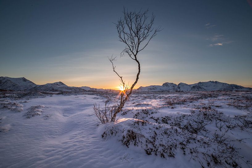 Einzelner Wanderer von Ken Costers