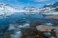 Norvège Le plus beau des glaces