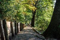 Sentier pédestre à Arnhem
