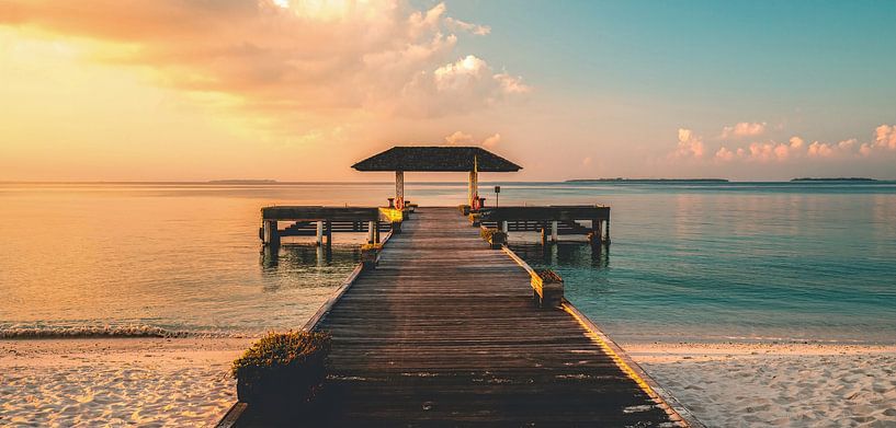 Gelb und Blau von Loris Photography