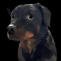 regard du chien noir