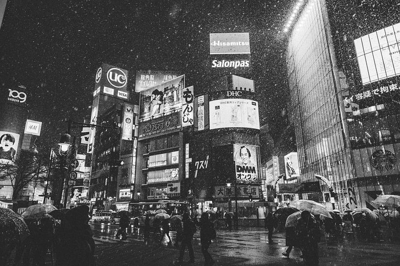 Tokios neonbeleuchtete Nächte: Ein Lichtspektakel von Ken Tempelers