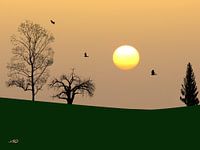 Evening atmosphere in Sahara dust