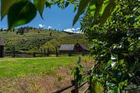 Alter Stall im kanadischen Dorf