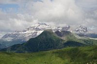 Landschap - "Contrasts"