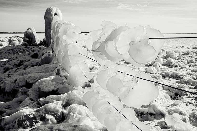 frozen ice on fence by the ijssel by Karen Velleman