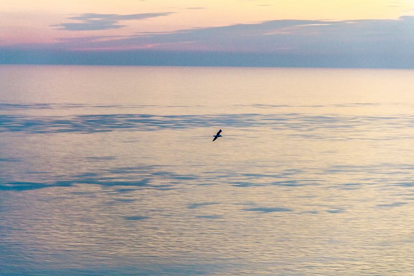 Ansicht aus der Vogelperspektive von Diane Cruysberghs