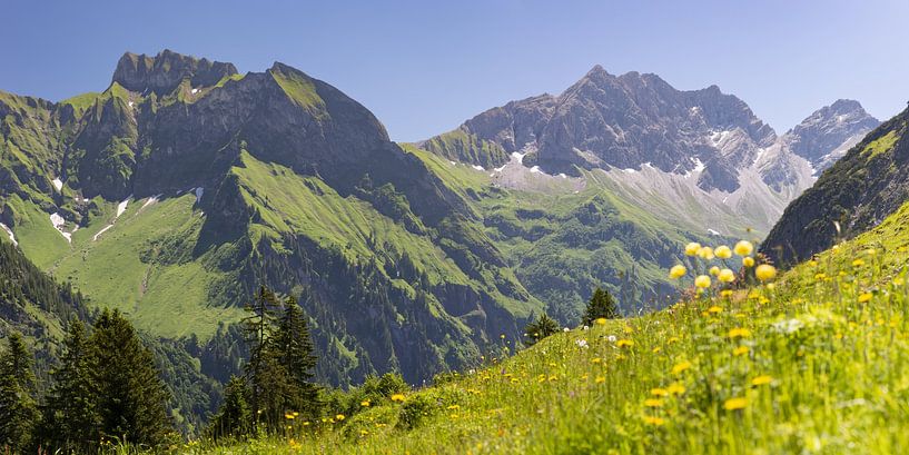 Le printemps dans les Alpes d'Allgäu par Walter G. Allgöwer