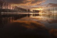 Sunrise 8ème abrégé Holly