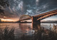 The Waal Bridge in the evening sun