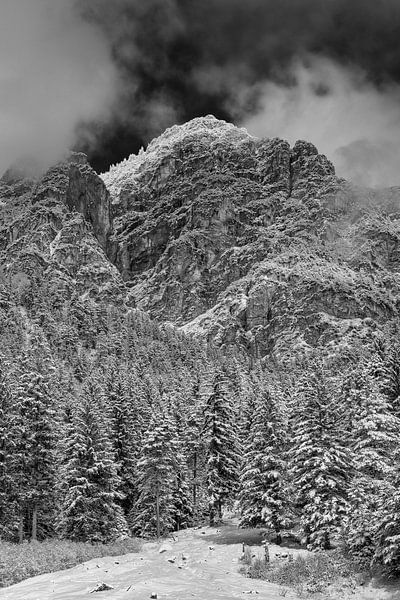 Neuschnee B&amp;W von Denis Feiner
