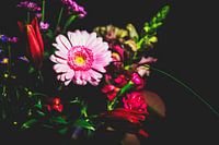 Style my Home series by Liberty Ragazza Biesma