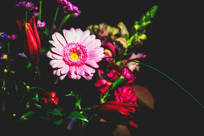 Style my Home series by Liberty Ragazza Biesma by Liberty Biesma