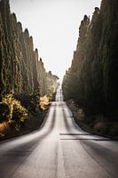 Bolgheri, Toscane, Italie