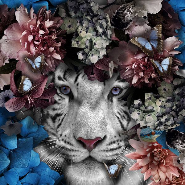 Tiger von Maaike Wycisk