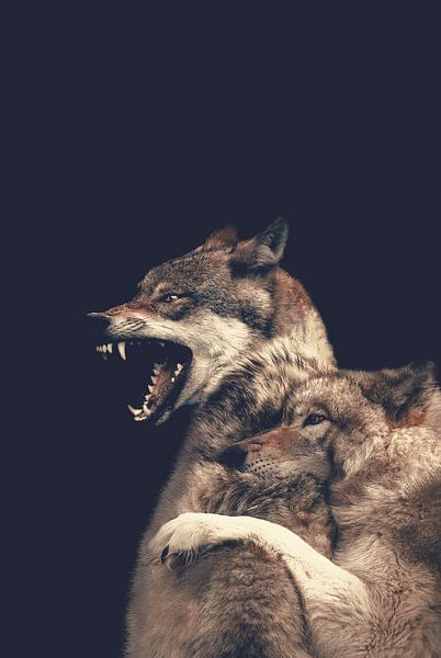Wolf: Protective wolf by Designer