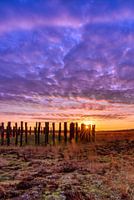 Sun between the poles (standing)