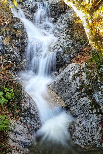 Wasserfall, Wasserfälle, Berge, Gebirge, Alpen, Naturfotografie, Landschaftsfotografie, Wandbild, Leinwand, Fine Art Print, Natur, Wildnis, Berglandschaft, Bergliebe, Naturbild, Alpenlandschaft, Outdoor, Fernweh, Naturparadies, Fluss, Quelle, Naturwunder, Fotokunst, Wasser, Bergwasser, Alpenfoto, Bergwelt, Adern der Berge, Naturgewalt, Ruhe, Energie, Bergfotografie von Miriam Schwarzfischer Fotografie