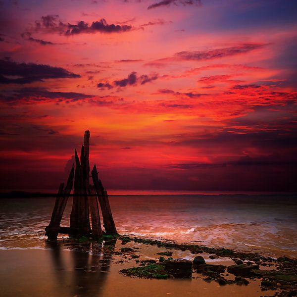 Sculpture of wreckage in the sea. by Saskia Dingemans Awarded Photographer