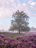 heather tree