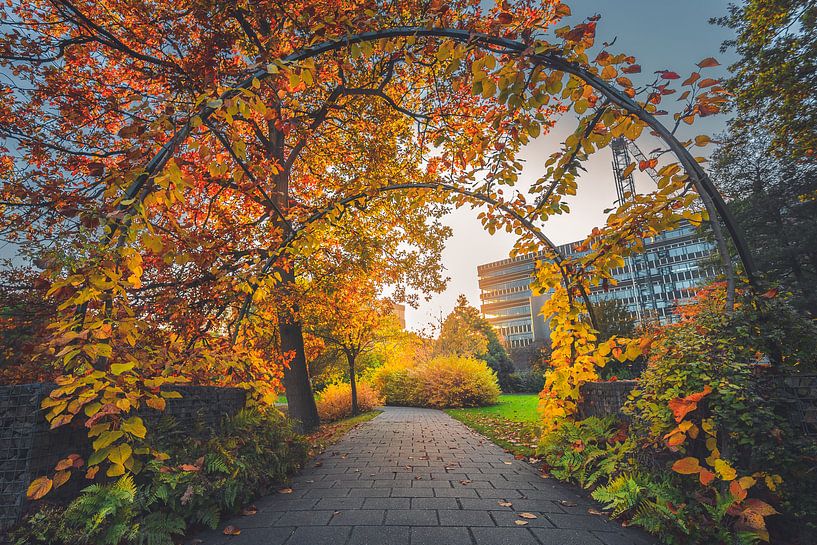 Utrecht botanical gardens von Alessia Peviani