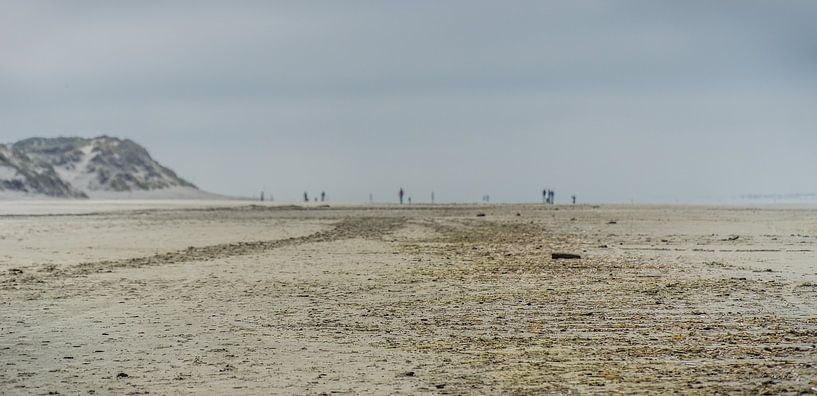 de loin par Andre Klooster