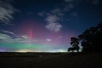 Nordlicht in den Dünen von Loonse und Drunense