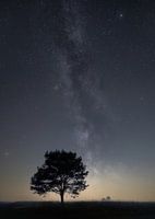 Galaxy on the Veluwe