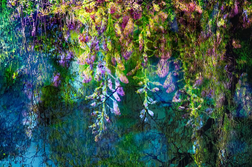 Glycine * inspirée de la peinture de Claude Monet par Paula van den Akker