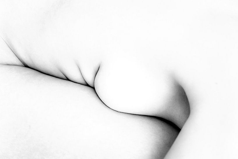 Artistic Nude of a Woman in High Key Bodyscape by Art By Dominic