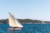 White classic sail boat during sailing regatta