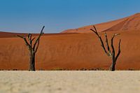 Deadvlei, Namibia