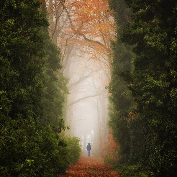 Walk of Life van Martin Podt