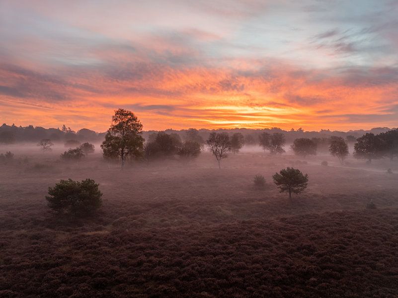 Misty morning by Jarno Pors