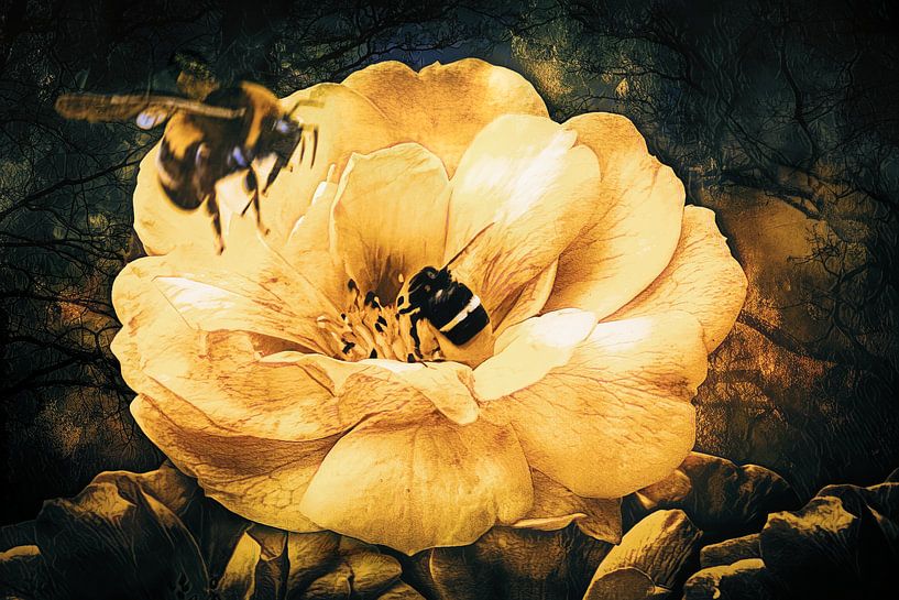 Visiteurs pour la fleur de mûrier par Helga Blanke